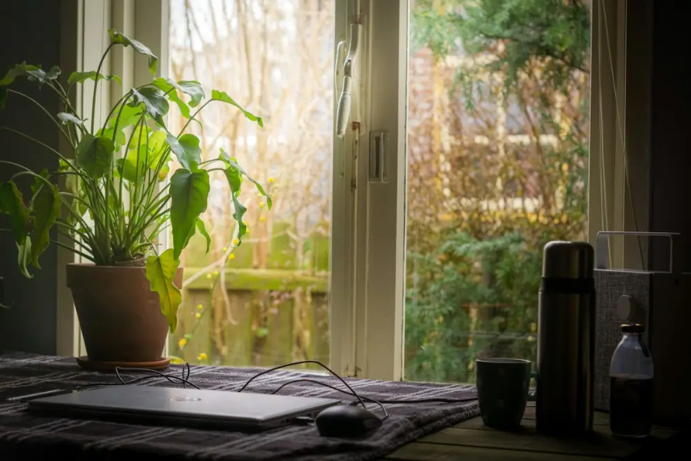Quiet home office set up for an online teaching career