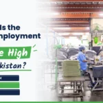 Why Is the Unemployment Rate High in Pakistan